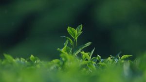 那些简历里工作经验只会写流水账的人注意了，2025年这样写薪资翻倍-拾光随笔 - 记录生活与工作的点滴感悟