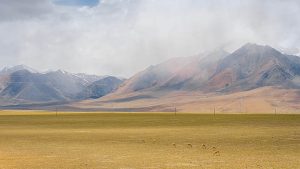 那些想要提升生活的人注意了：2025生活妙招图片板报太实用了-拾光随笔 - 记录生活与工作的点滴感悟