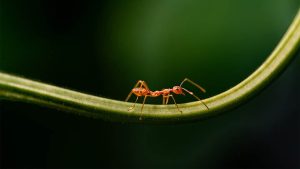 为了不被扣钱，我试了9个工厂小妙招，工资全白发-拾光随笔 - 记录生活与工作的点滴感悟