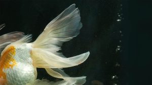 掌握这3点,轻松提升生活效率;-拾光随笔 - 记录生活与工作的点滴感悟