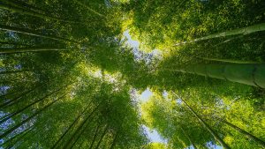 生活技巧百科：这个生活常识，99%的人都不知道-拾光随笔 - 记录生活与工作的点滴感悟