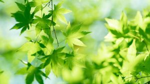 这个找图法，99%的人都不知道，生活妙招图片素材简单直接用-拾光随笔 - 记录生活与工作的点滴感悟
